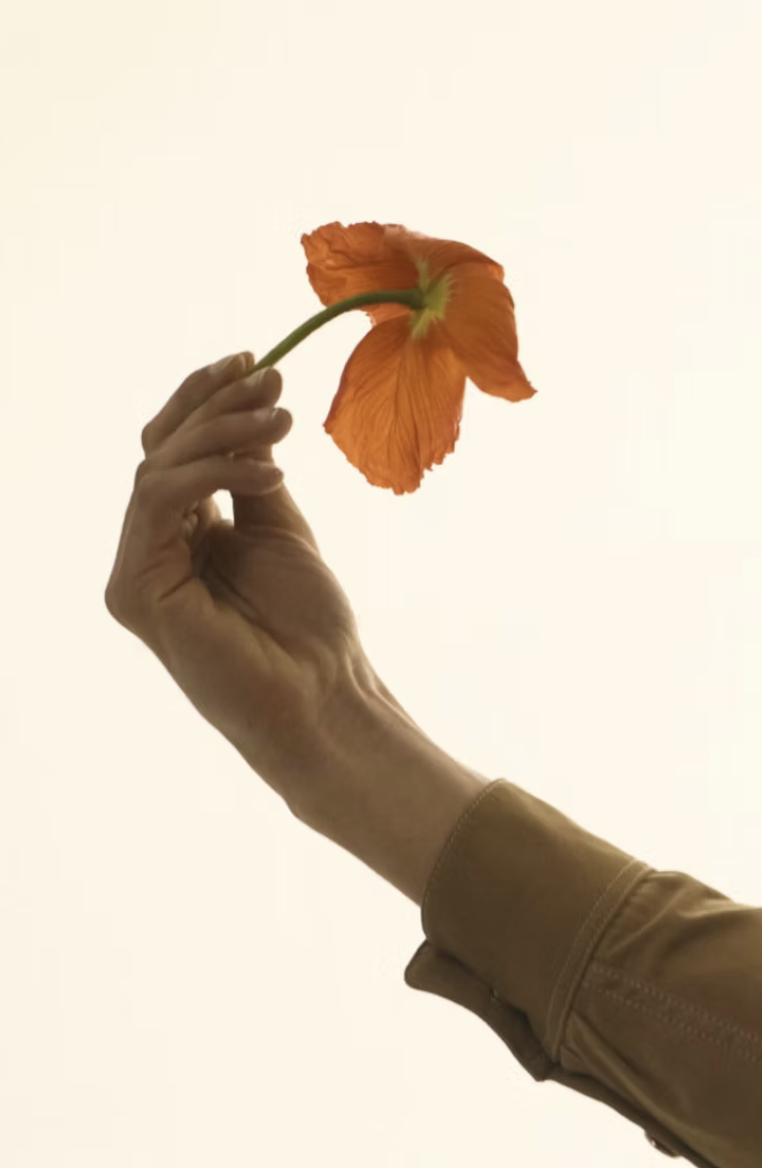 Hand holding an orange poppy